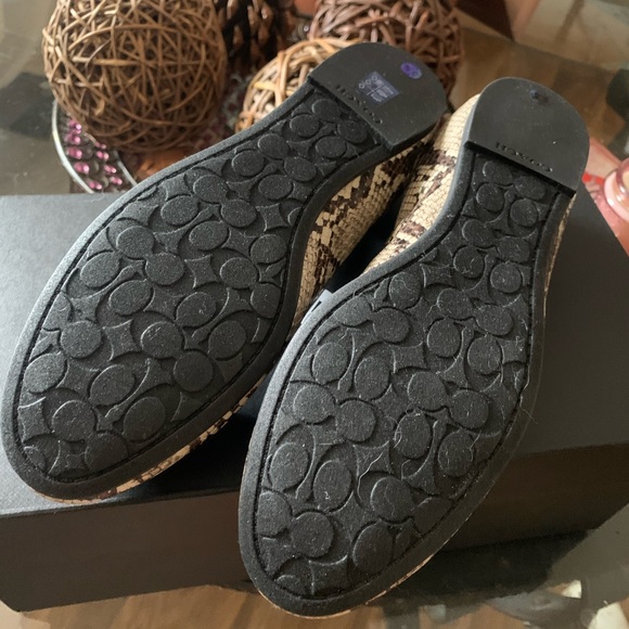 Coach Bailey Ballet Flats - Picture 9 of 13